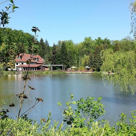 Waldhotel Zur Holzmuhle Eldagsen Luaran gambar