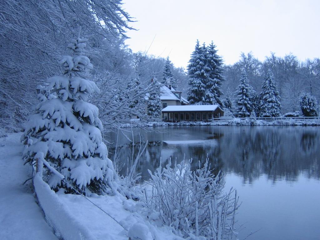 Waldhotel Zur Holzmuhle Eldagsen Luaran gambar