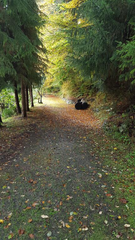 Waldhotel Zur Holzmuhle Eldagsen Luaran gambar